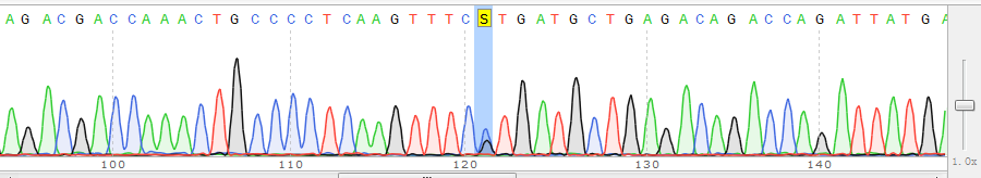 Essential Tests for Endometrial Cancer - POLE Gene Testing