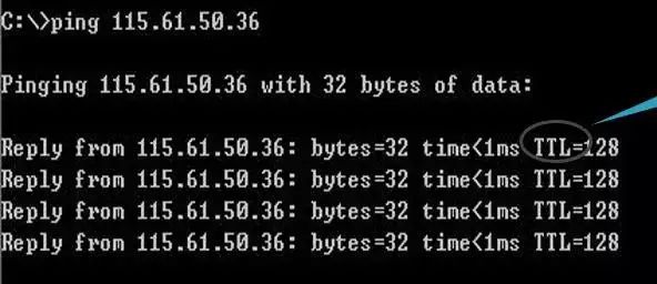 How to Use the Ping Command Effectively