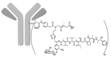 Technical Insights into 15 ADC Drugs and Future Innovations