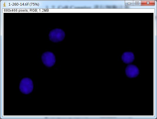 Unlocking Various Technical Skills in ImageJ