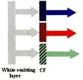 Comprehensive Overview of OLED Display Technology