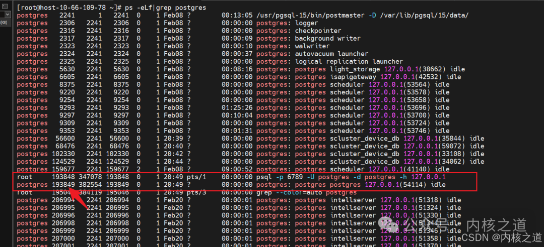 GDB Debugging Postgres Kernel (Postmaster + Backend + Client DQL/DML Handling)