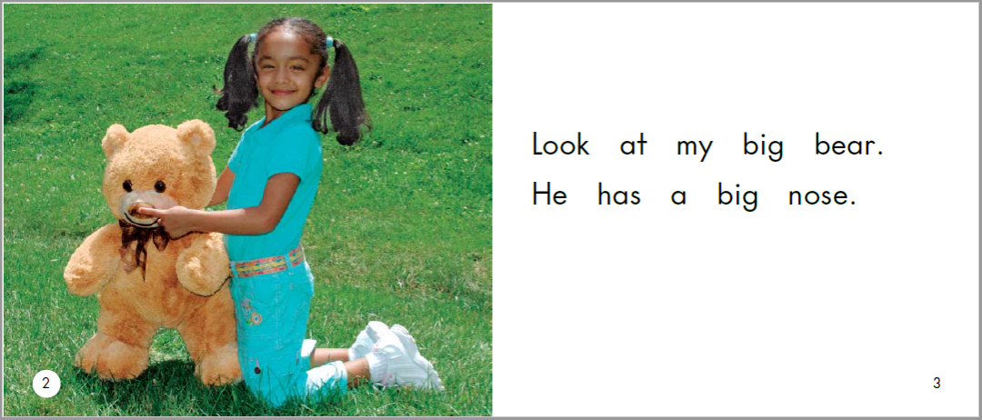 English Picture Book Stories | My Big Bear