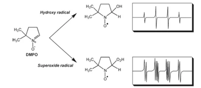 Principles and Applications of Electron Paramagnetic Resonance (EPR) Testing