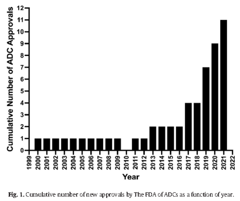 Experiences and Lessons in ADC Clinical Development