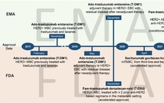Antibody-Drug Conjugates for Breast Cancer Treatment