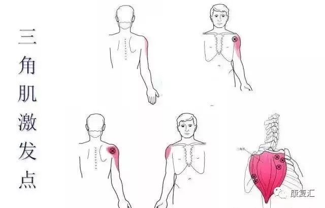Detailed Guide to Shoulder Joint Physical Examination for Rehabilitation