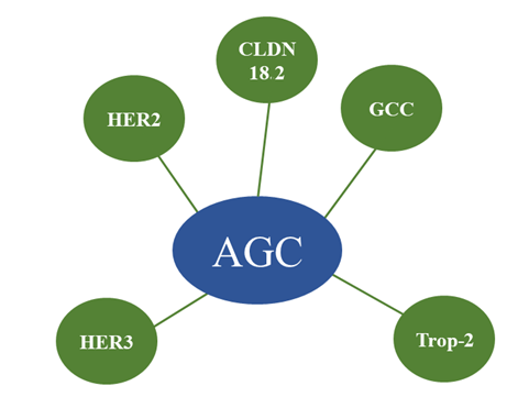 Research Progress of ADC Drugs for Advanced Gastric Cancer Treatment