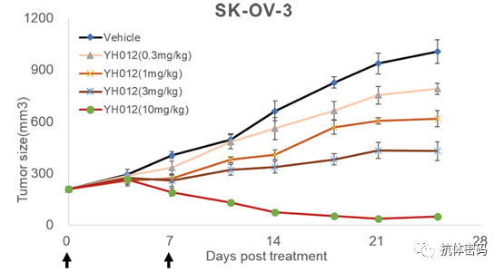The Next Step for Bispecific Antibodies: Bispecific ADC?