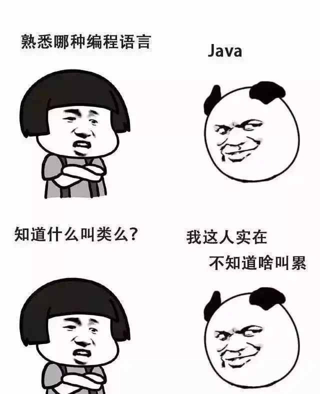 Advantages and Disadvantages of Various Programming Languages