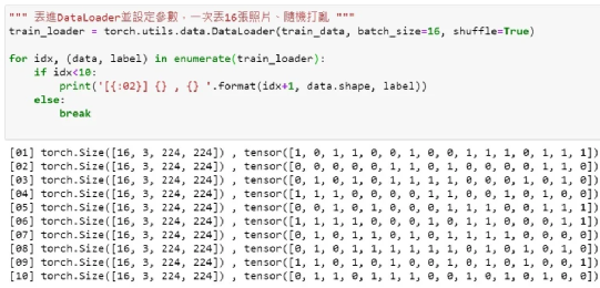 Building a Simple Cat-Dog Classifier with NVIDIA Jetson Nano