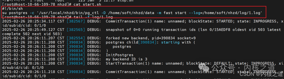 GDB Debugging Postgres Kernel (Postmaster + Backend + Client DQL/DML Handling)