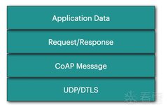 Practical Exploitation of CoAP Protocol Vulnerabilities