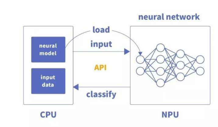 What Are the Differences Between NPU and CPU Chips?