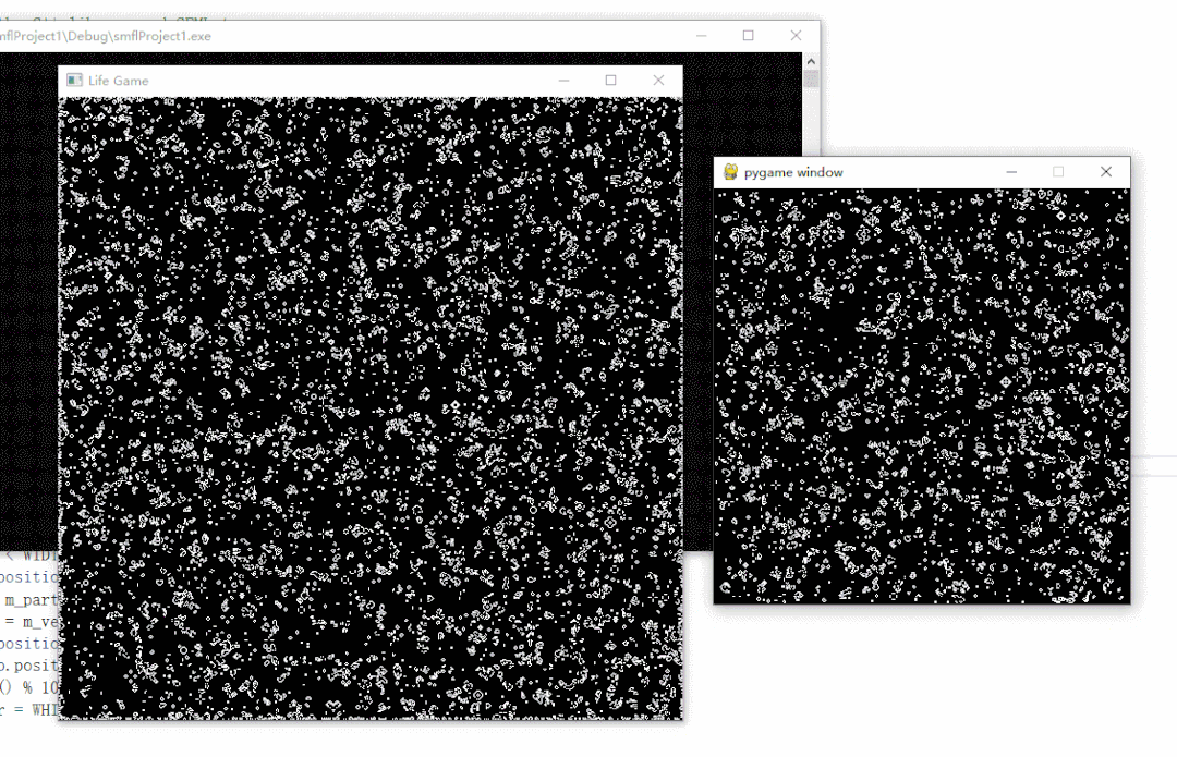 Complex Life Game Model Implementations in Python and C++