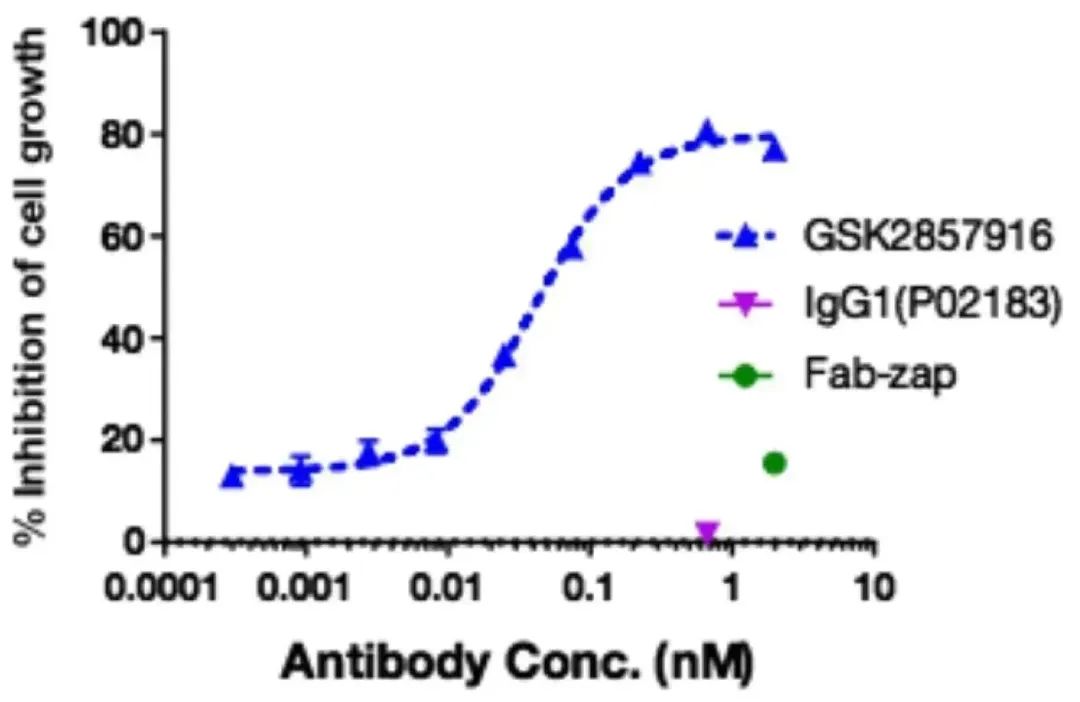 Innovative Delivery: Comprehensive Analysis of 'Magic Bullet' ADC Drug Screening
