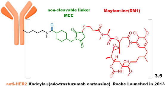 Technical Insights into 15 ADC Drugs and Future Innovations