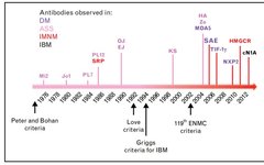 Understanding NXP2 Positive Juvenile Dermatomyositis