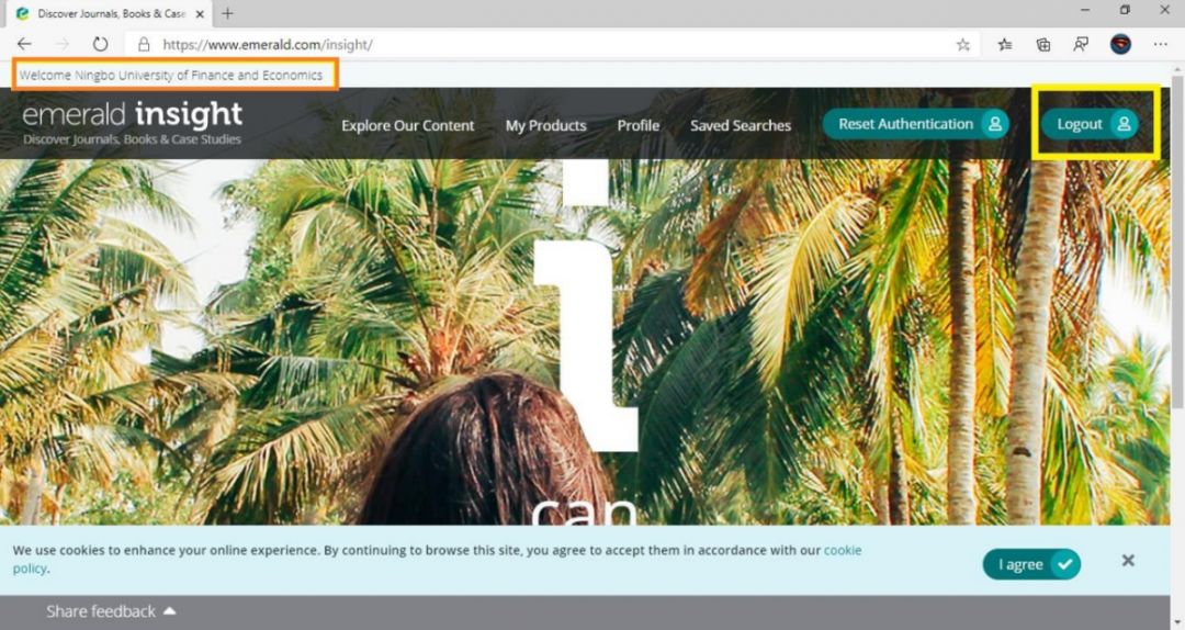 How to Access Library Resources at Home During Winter Break