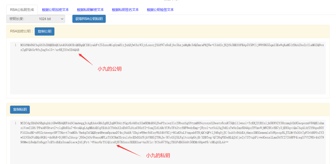 Step-by-Step Analysis of RSA Public Key, Private Key, and Digital Signature Encryption Process