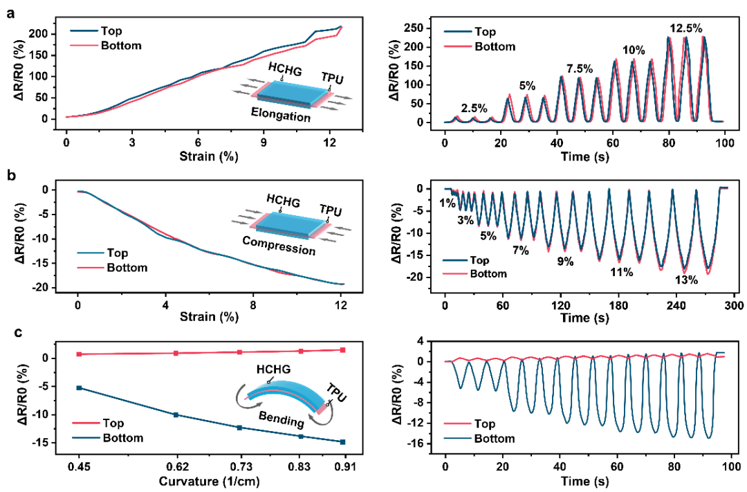 AFM: A Novel High-Sensitivity, Wide-Detection Range Flexible Stretchable Hydrogel Sensor Based on High-Density Cracks