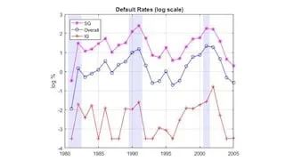 Using MATLAB for Risk Management