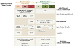 Biomarkers and Targeted Therapy for Intrahepatic Cholangiocarcinoma