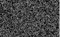 Complex Life Game Model Implementations in Python and C++