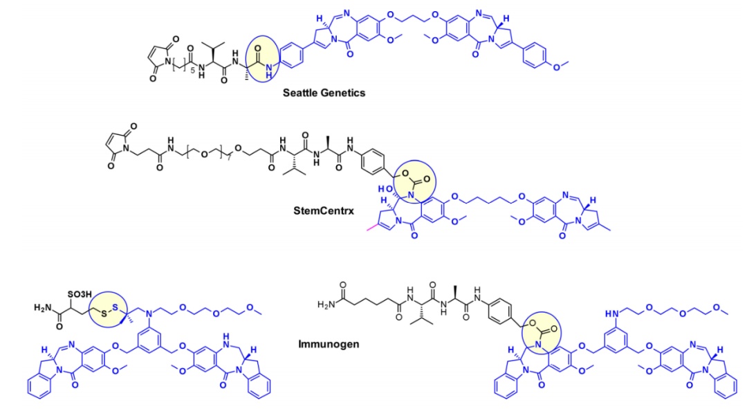 Overview of Antibody-Drug Conjugates (ADCs)
