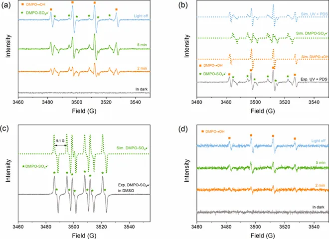 Principles and Applications of Electron Paramagnetic Resonance (EPR) Testing