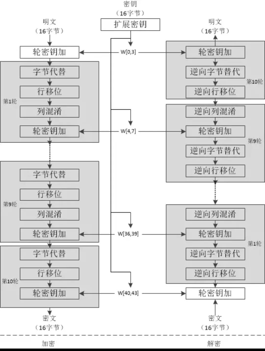 Understanding Common Encryption and Decryption Algorithms