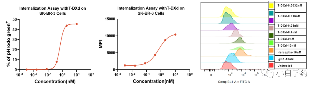 Non-Clinical Research of ADC Drugs