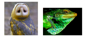 Comprehensive Guide to Edge Detection Algorithms