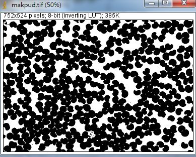 Unlocking Various Technical Skills in ImageJ