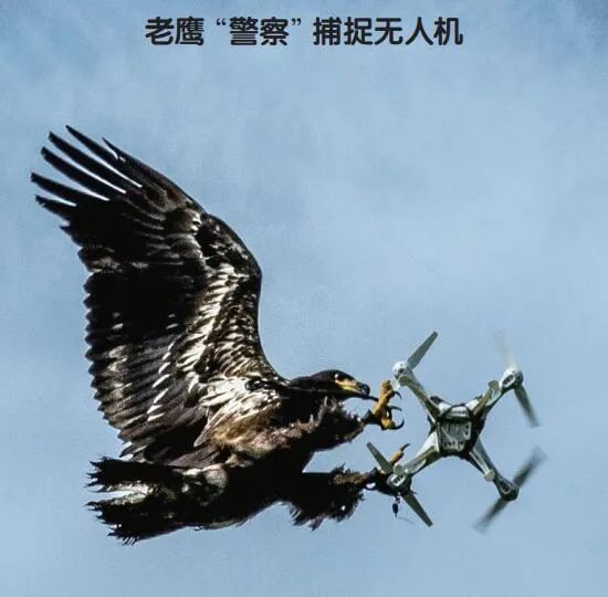 How to Neutralize Drones?