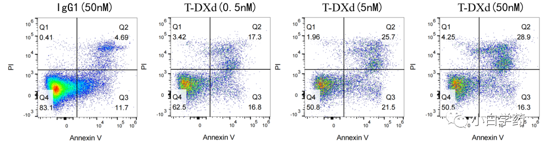 Non-Clinical Research of ADC Drugs