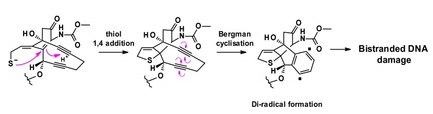 Overview of Antibody-Drug Conjugates (ADCs)