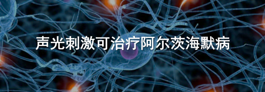 Challenging Traditional Views: Tsinghua Team Redefines Auditory Pathways
