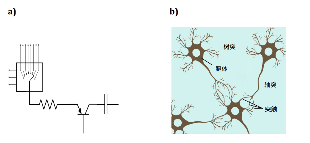 Can Chips Imitate the Brain?