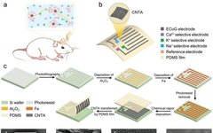 An Efficient Sensor for Real-Time Recording of Cortical Activity