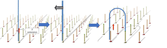 Molecular Diagnosis Technology Comprehensive Analysis Trilogy