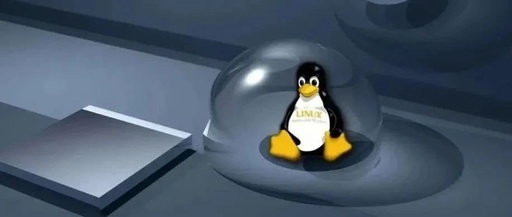 Comprehensive Guide to Common Linux Commands