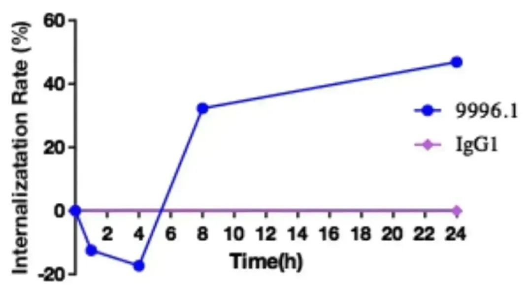 Innovative Delivery: Comprehensive Analysis of 'Magic Bullet' ADC Drug Screening