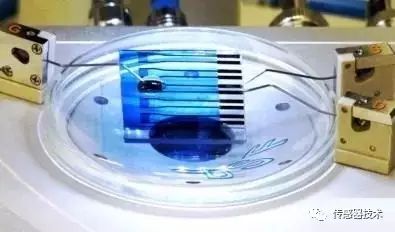 Understanding Biosensors: Applications and Principles
