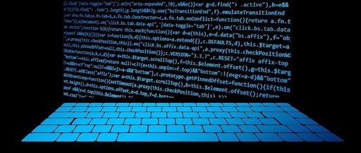 Usability Versus Professionalism: Windows and Linux Showdown