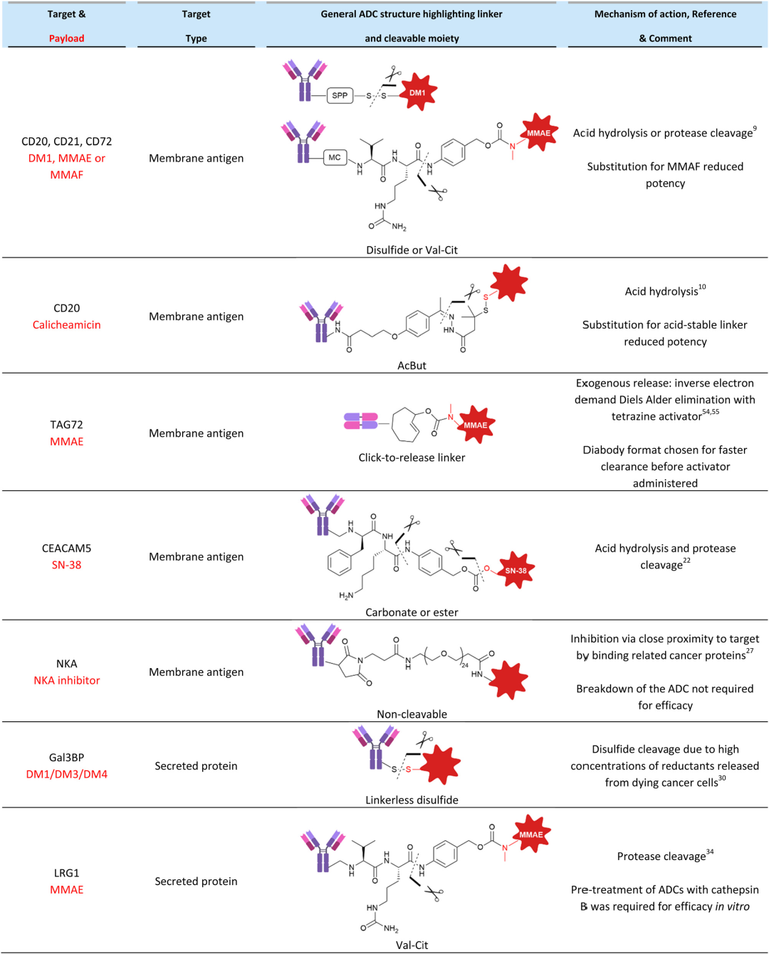 Another Bright Path for ADC Development - Non-Internalizing ADC