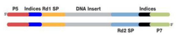 Molecular Diagnosis Technology Comprehensive Analysis Trilogy