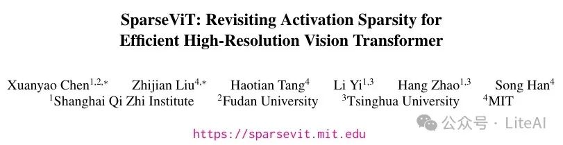 Efficient Transformer: SparseViT Reassessing Activation Sparsity in High-Resolution ViT