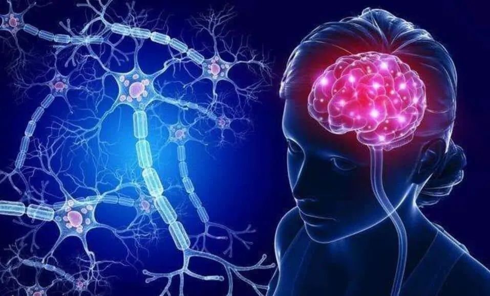 Neurosurgery Robotics: An Overview