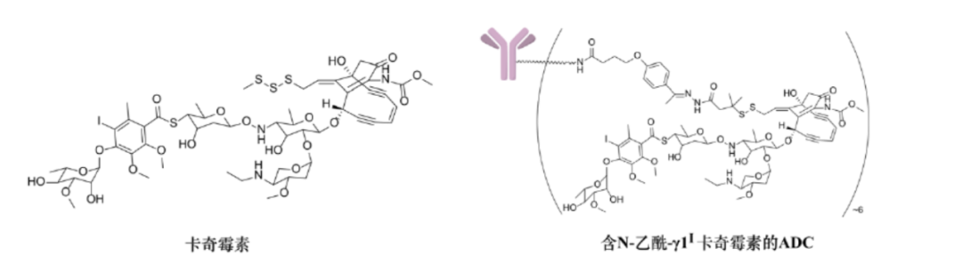 Choosing ADC Toxins: IC50, Mechanisms, and Clinical Insights